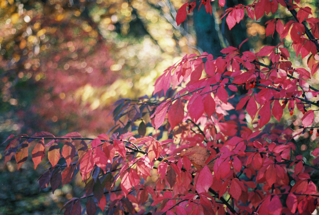 5 of the Best Sunday Drives in BC